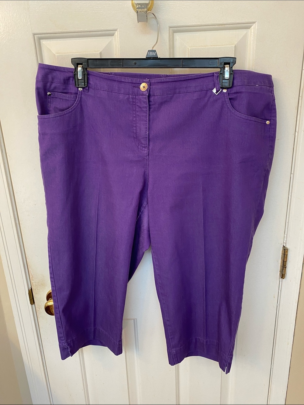 TanJay Purple Capri Pants
